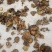 食用菌干货