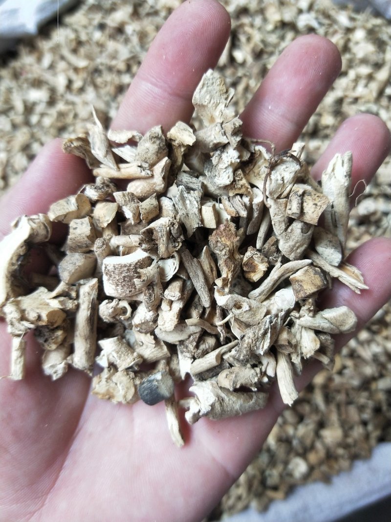 白鲜皮鲜白皮白藓皮抽芯95%供应上千种中药材