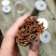包邮包含量蜈蚣湖北红头蜈蚣无接条无断支