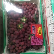 精品红提红地球