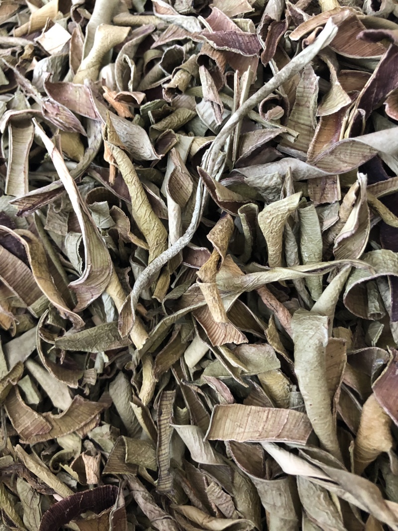 【芦荟茶】芦荟茶统新货产地直供量大从优