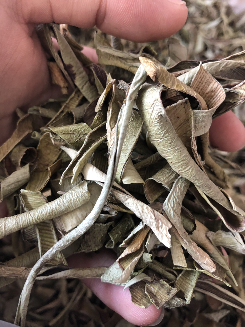【芦荟茶】芦荟茶统新货产地直供量大从优