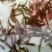 泥鳅种苗