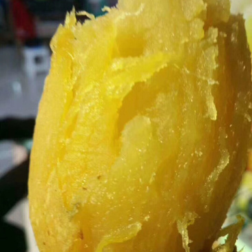 北京553支持视频看货
