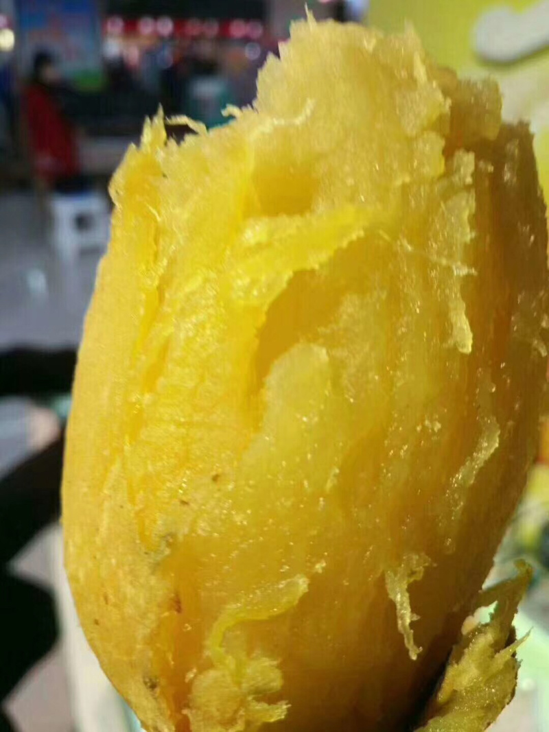 北京553支持视频看货