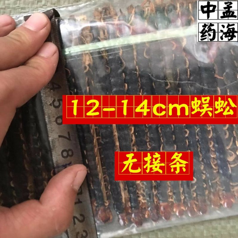 蜈蚣一件100条选条12-13CM