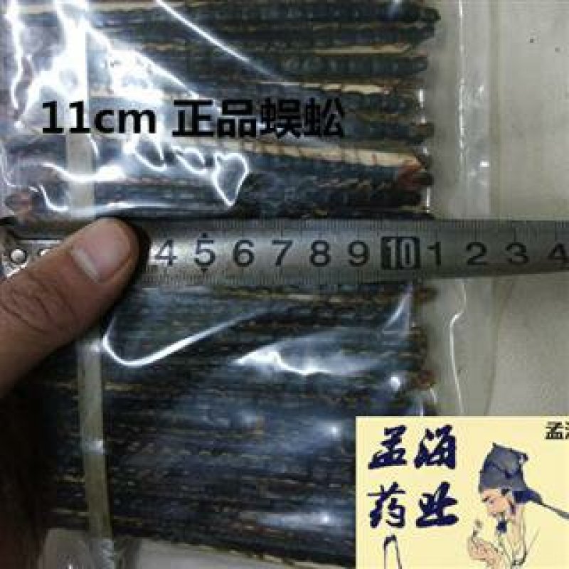 蜈蚣选条1件100条无接条