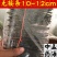蜈蚣选条1件100条无接条