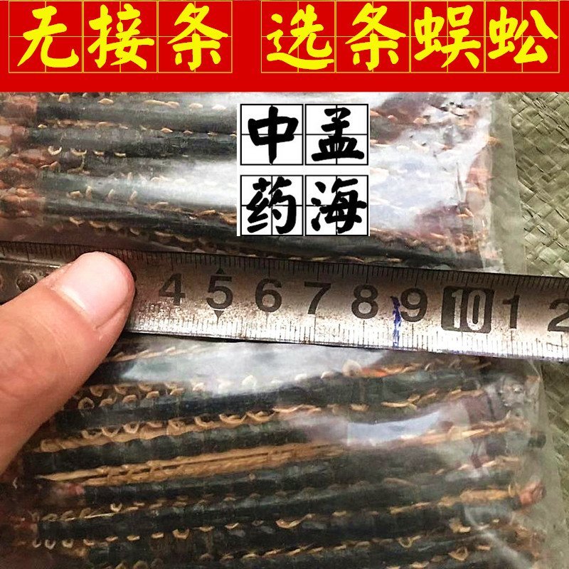 蜈蚣选条1件100条无接条