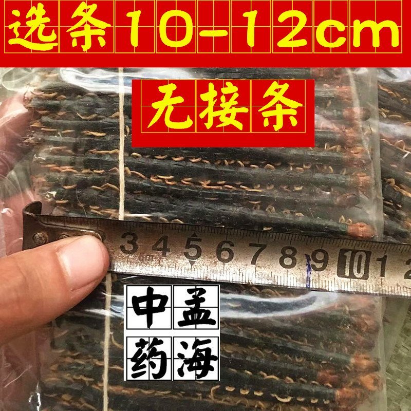 蜈蚣选条1件100条无接条