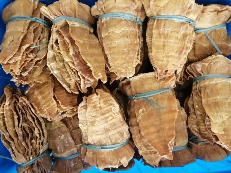 干笋产地直销大量笋角笋干散装1年麻竹笋苗