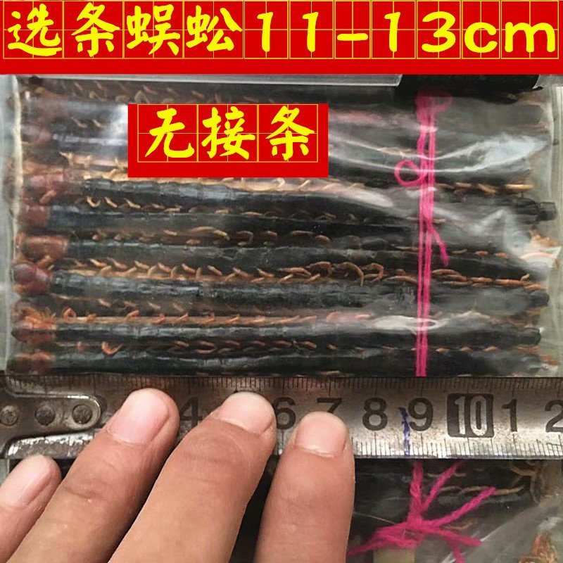 蜈蚣选条1件100条11-13公分包邮