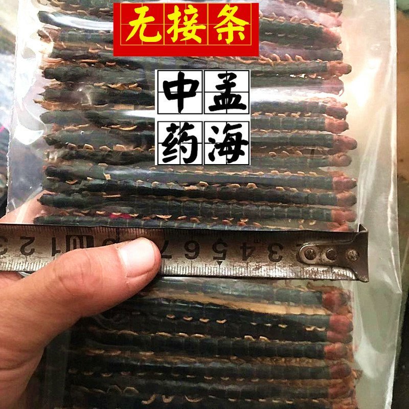 蜈蚣选条1件100条11-13公分包邮