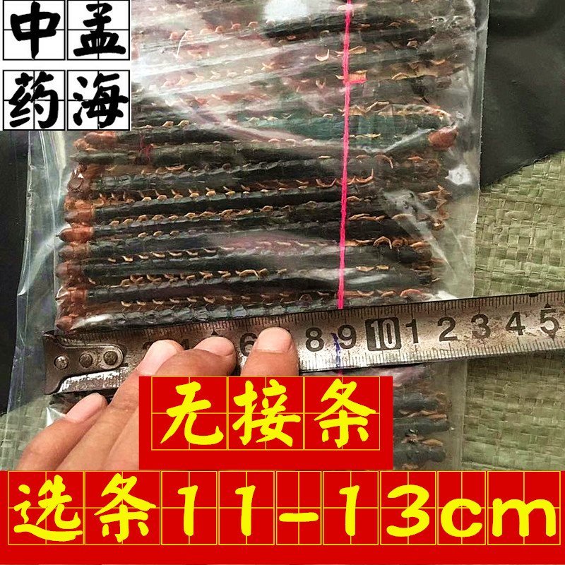 蜈蚣选条1件100条11-13公分包邮