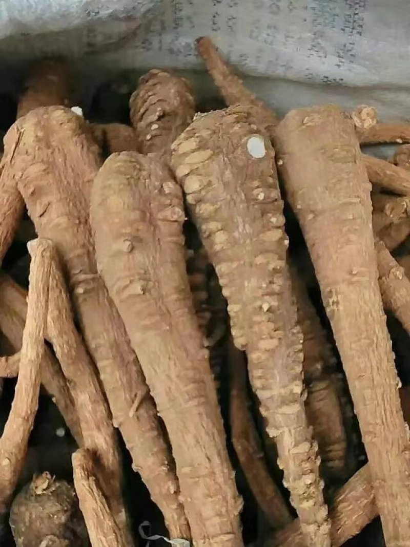 白芷无硫白芷大货二条大统装