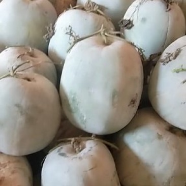 冬瓜有需要的联系量大