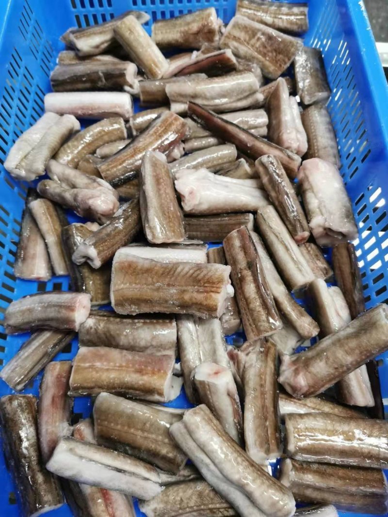 鳗鱼段深海远洋捕捞本地船冻