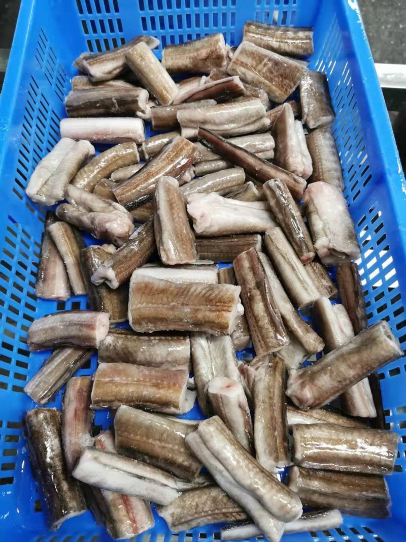 鳗鱼段深海远洋捕捞本地船冻