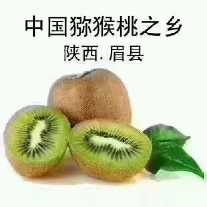 一件代发10斤装徐香猕猴桃基地一手货源现摘现发