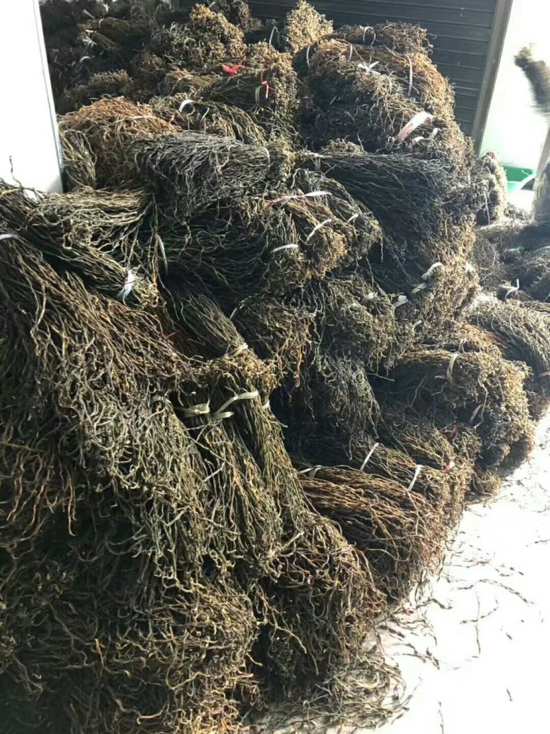 脱水干豆角长豆角豆角干豇豆