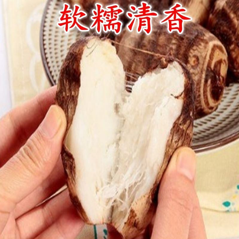 贵州芋头小芋头毛芋头
