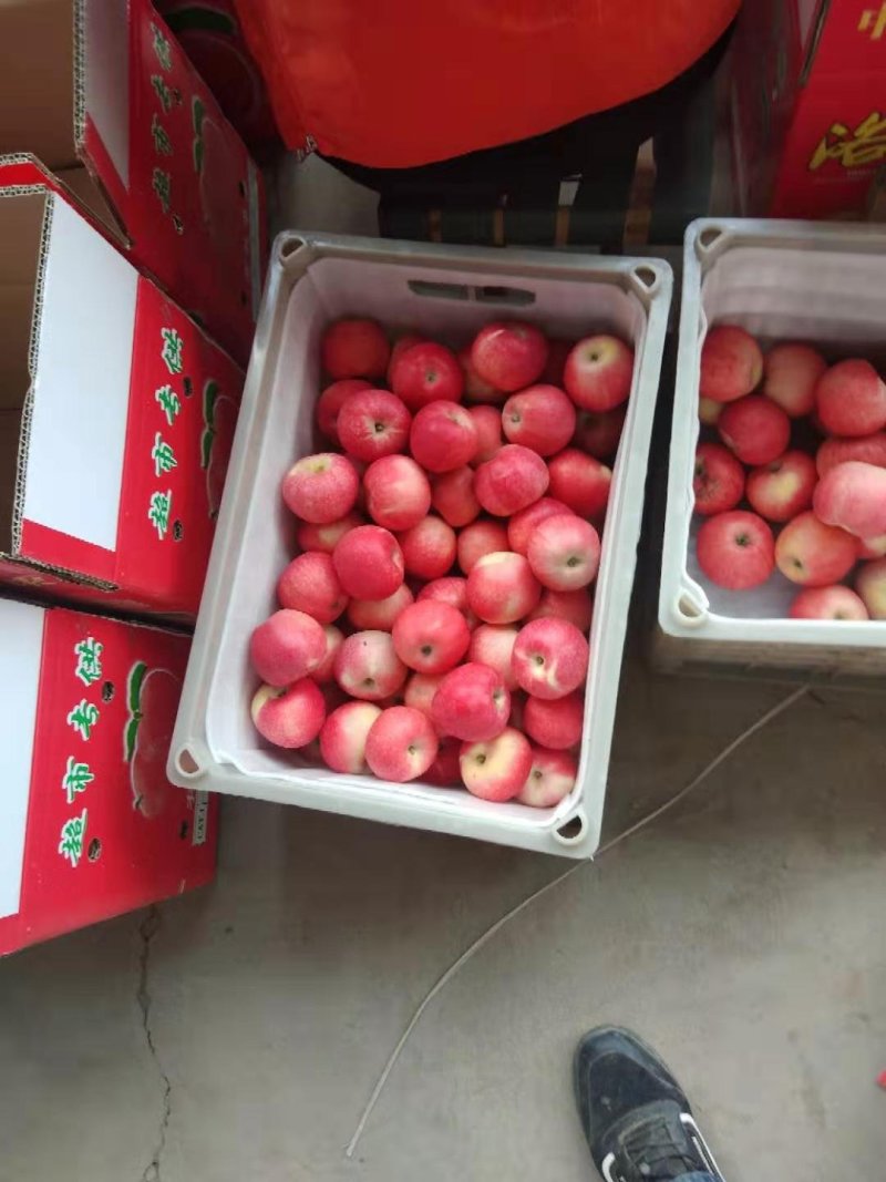 中秋送礼首选