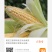 黑龙江即食玉米高压灭菌真空袋装一件代发可批发
