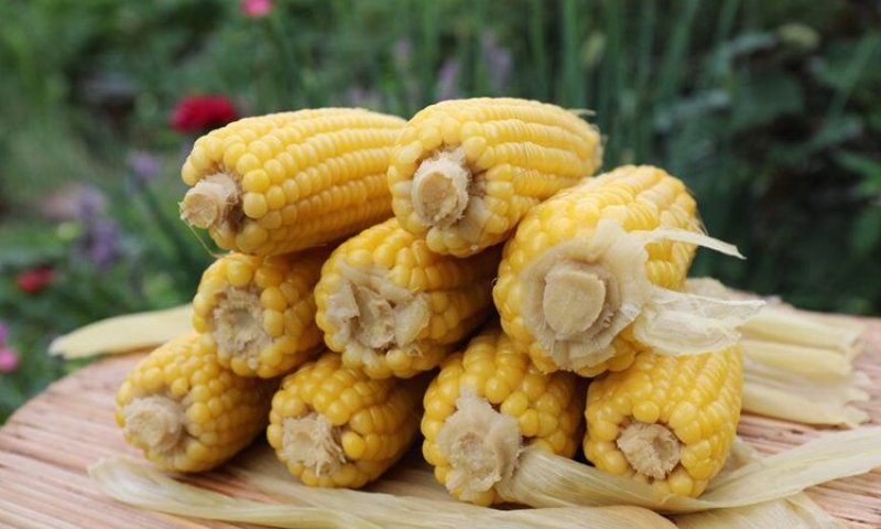 黑龙江即食玉米高压灭菌真空袋装一件代发可批发