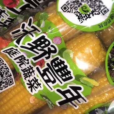 黑龙江即食玉米高压灭菌真空袋装一件代发可批发
