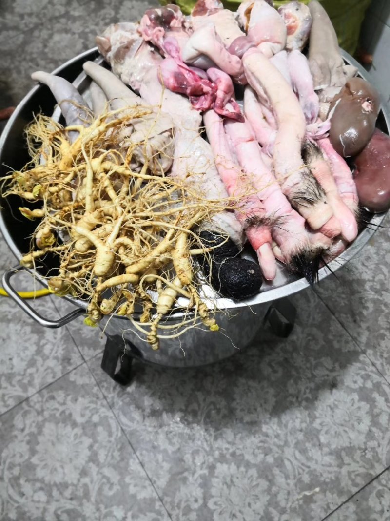 滋补养生鹿鞭膏有厂名厂址包邮