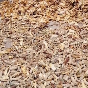 干玉米芯