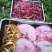 鹿胎膏有注册商标厂名厂址无效退款