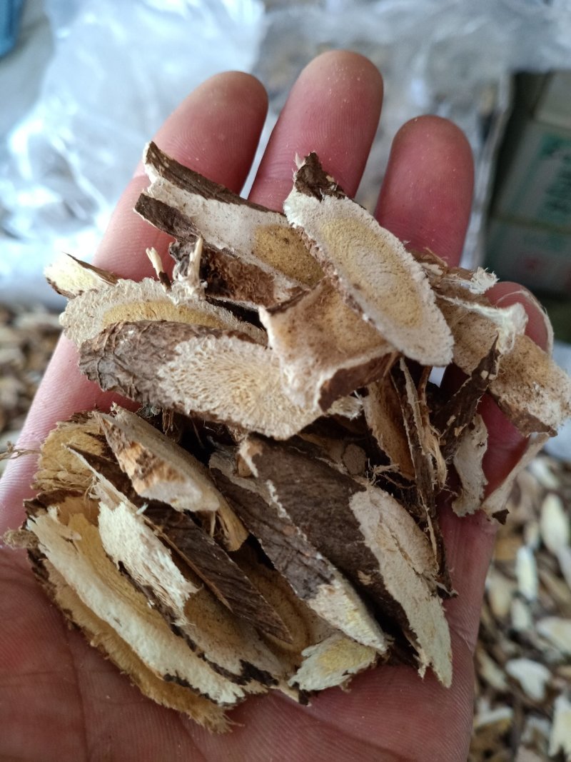 红芪自然生长无污染高含量野生红芪手选片批发