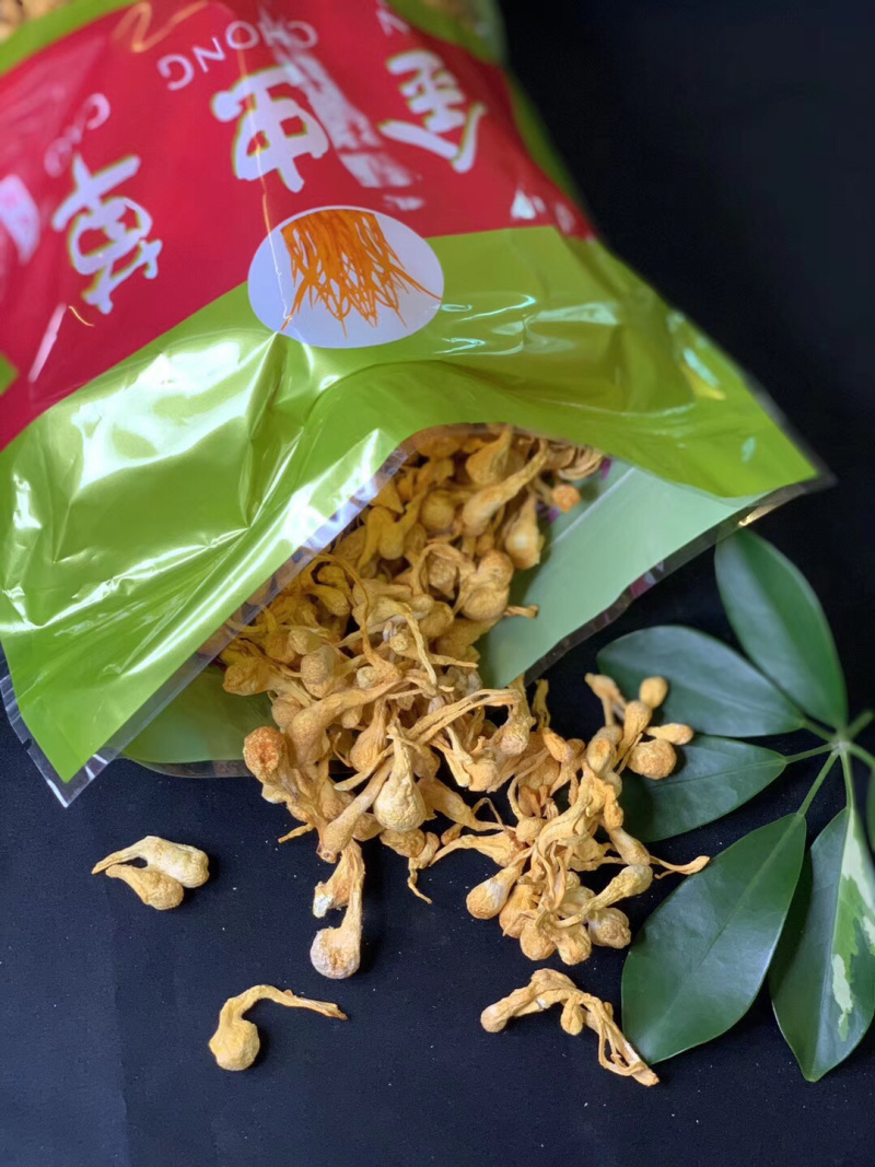 进口金虫草煲汤产地各种规格大量批发，一手货源，价格优惠