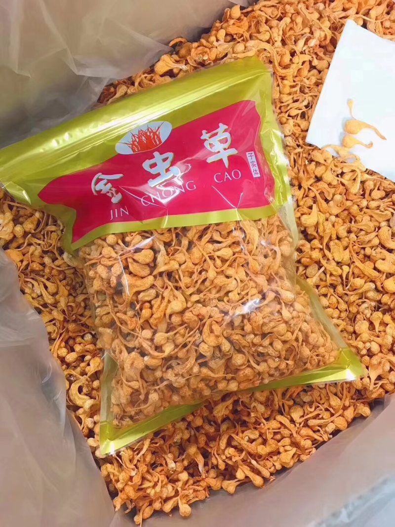 进口金虫草煲汤产地各种规格大量批发，一手货源，价格优惠