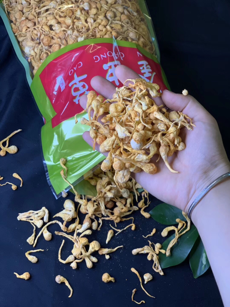 进口金虫草煲汤产地各种规格大量批发，一手货源，价格优惠