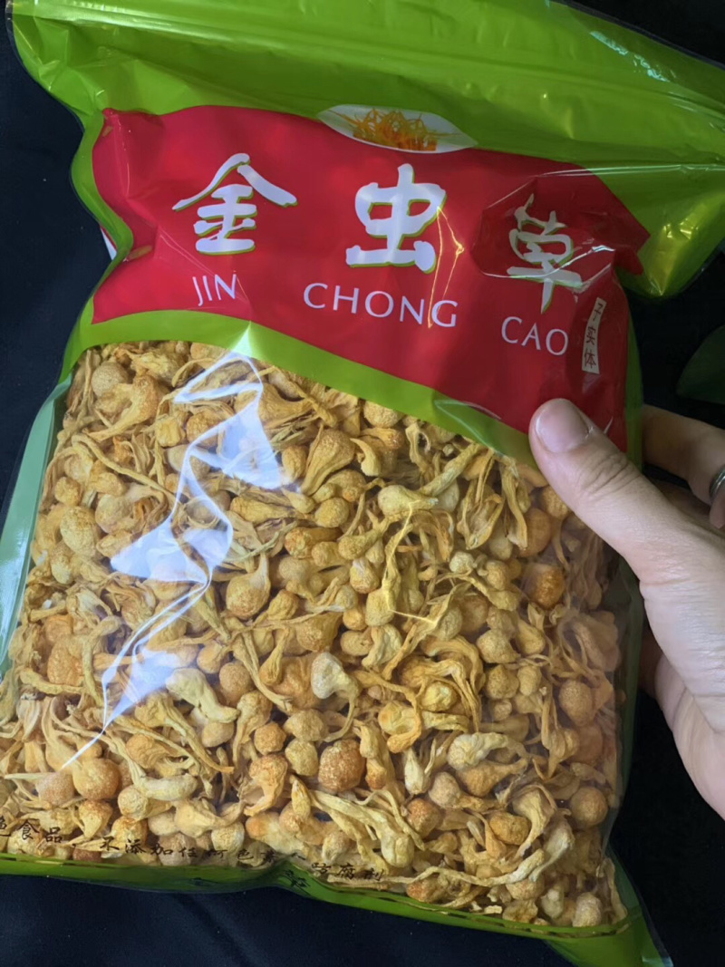 进口金虫草煲汤产地各种规格大量批发，一手货源，价格优惠