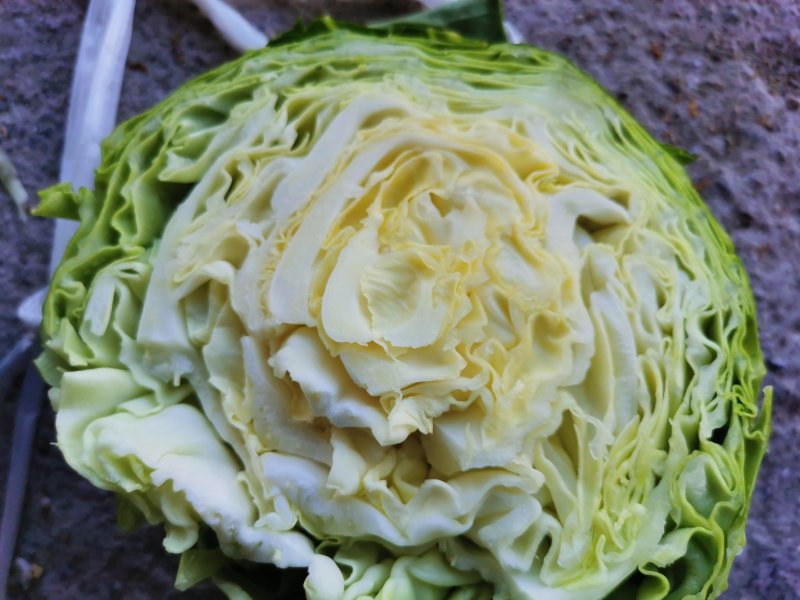 甘蓝类
