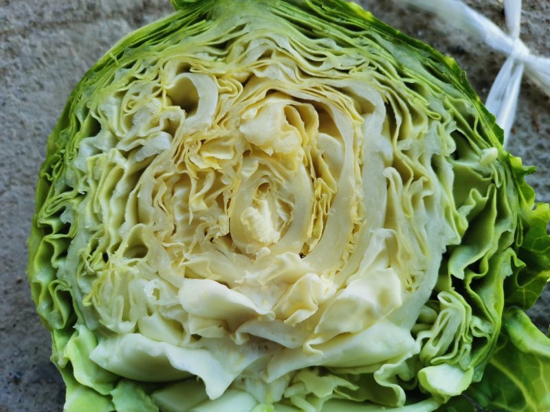 甘蓝类