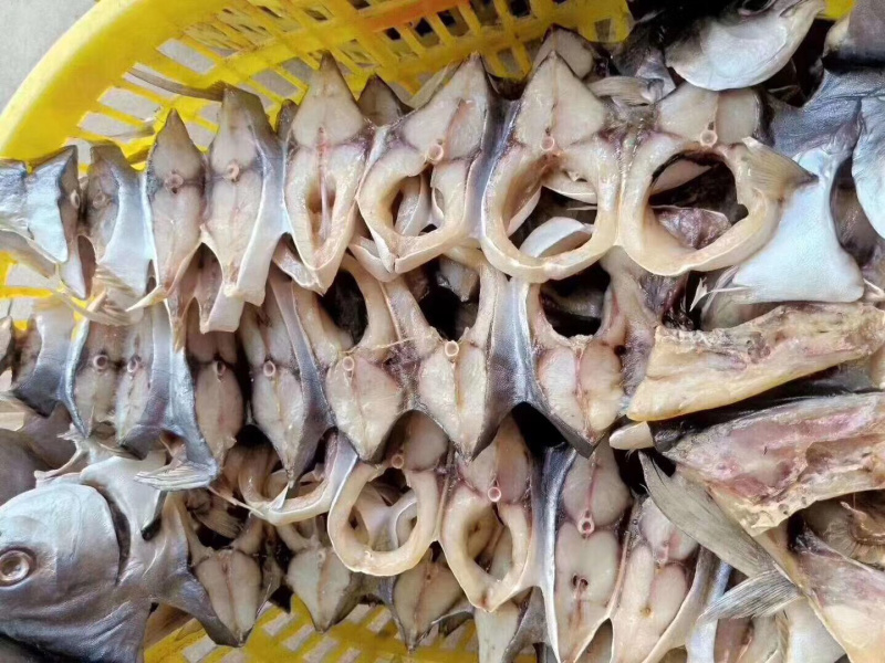 金鲳鱼干