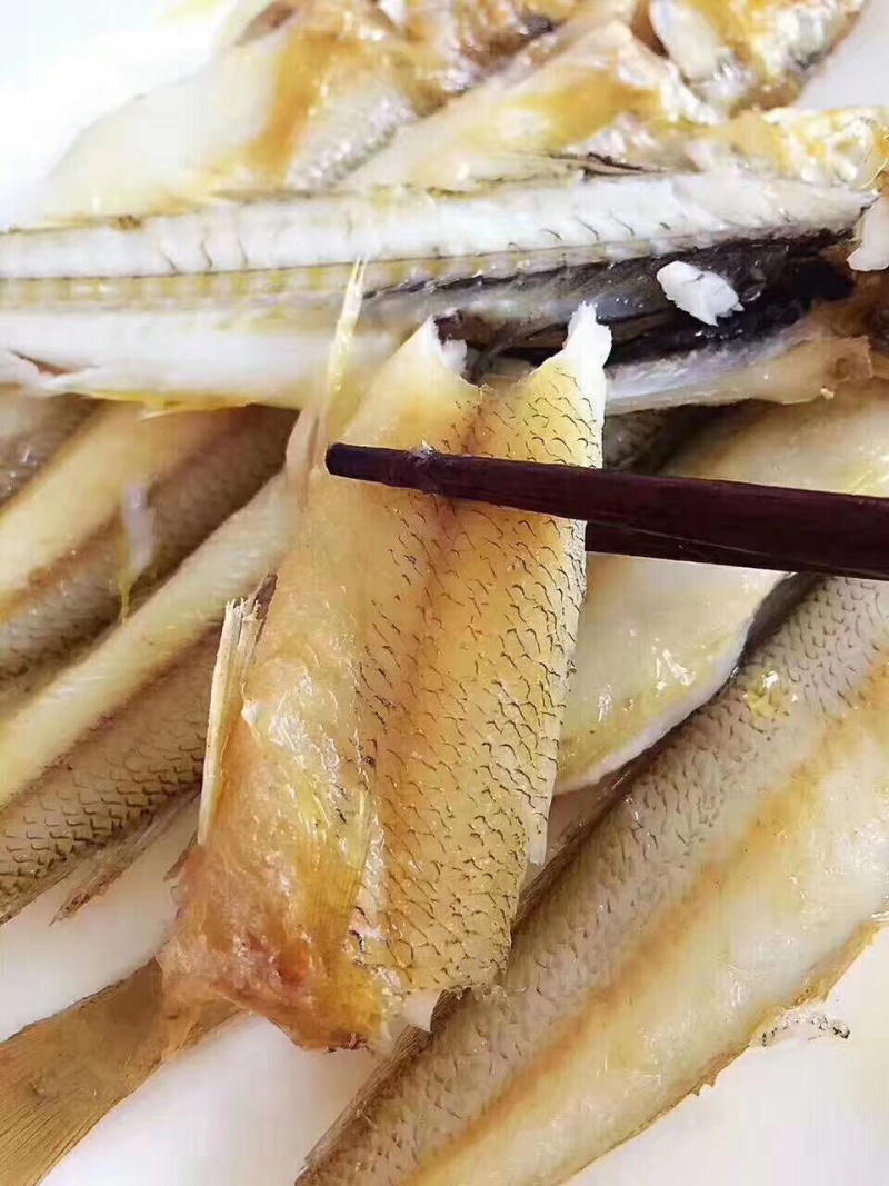 沙锥鱼