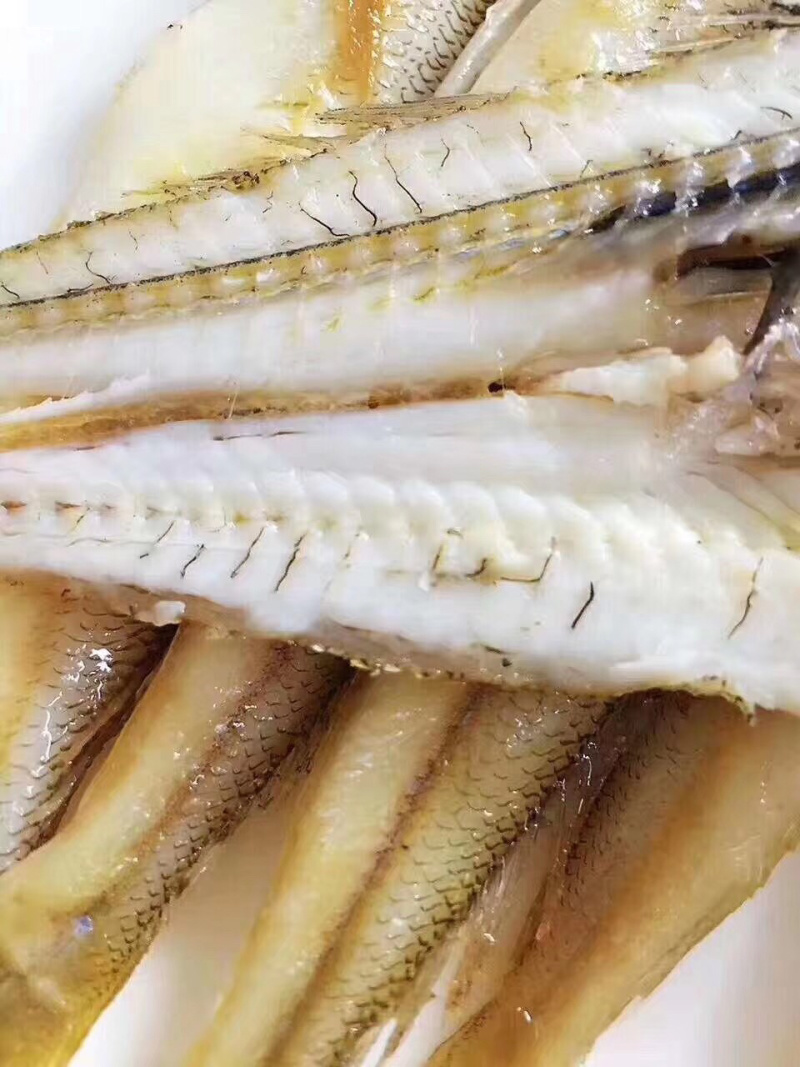 沙锥鱼