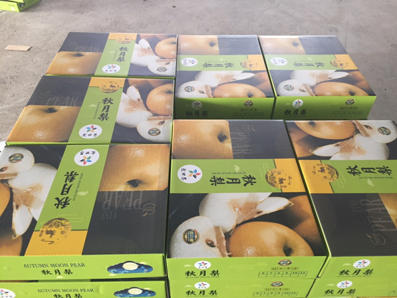 莱西秋月冰糖梨