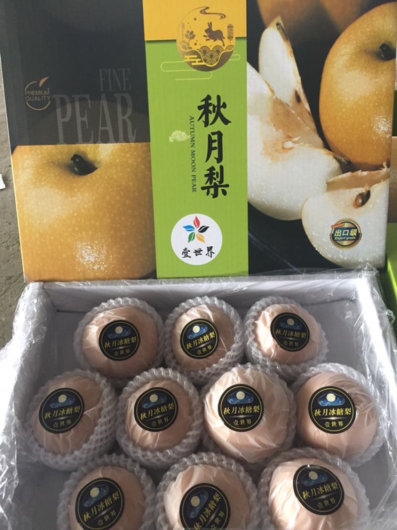 莱西秋月冰糖梨