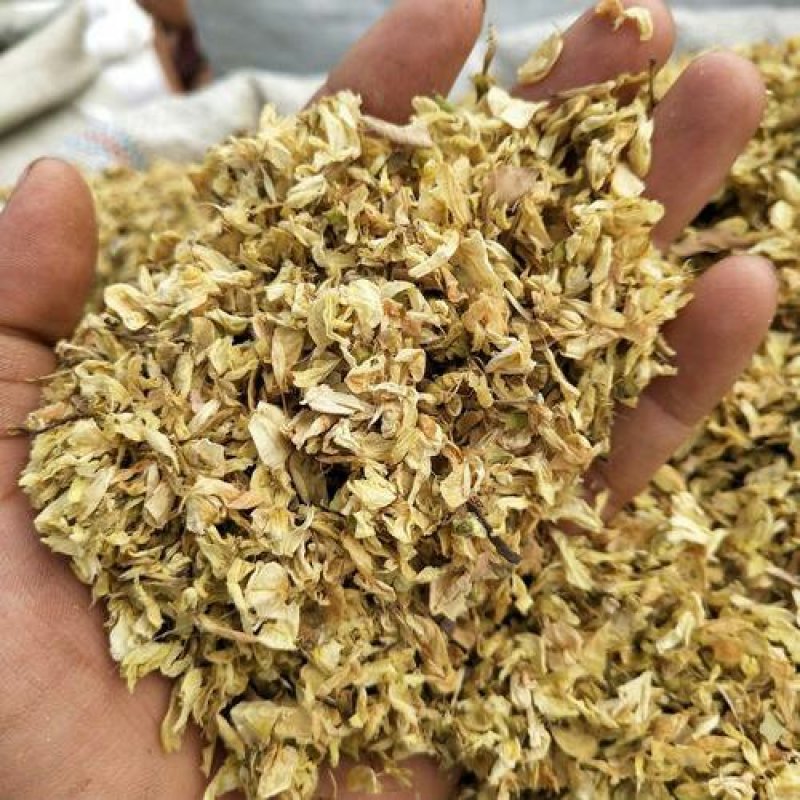 槐花千余品种供应承接订单