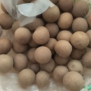 桂圆干