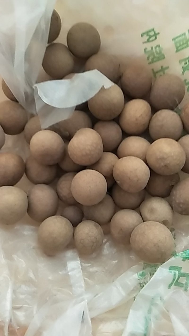桂圆干
