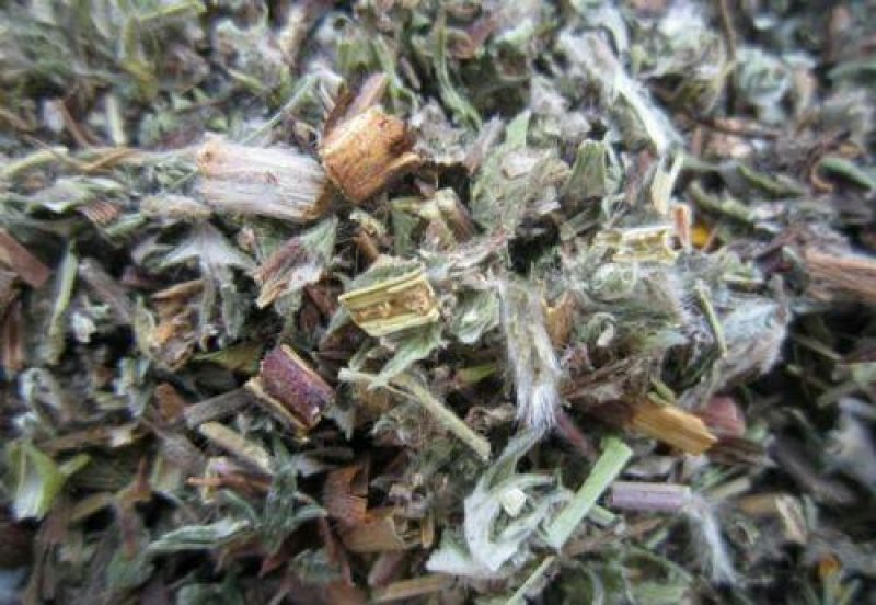 翻白草千余品种供应承接订单