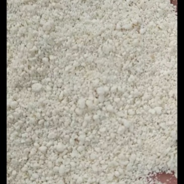 豆渣