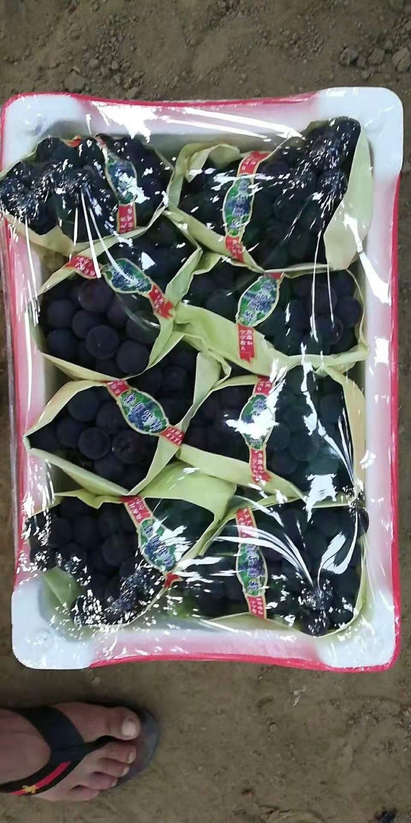 辽南巨峰葡萄大量上市物美价廉可对接全国欢迎来电